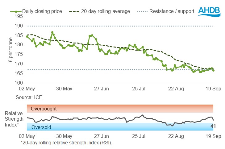 Grains graph 22 09 2025